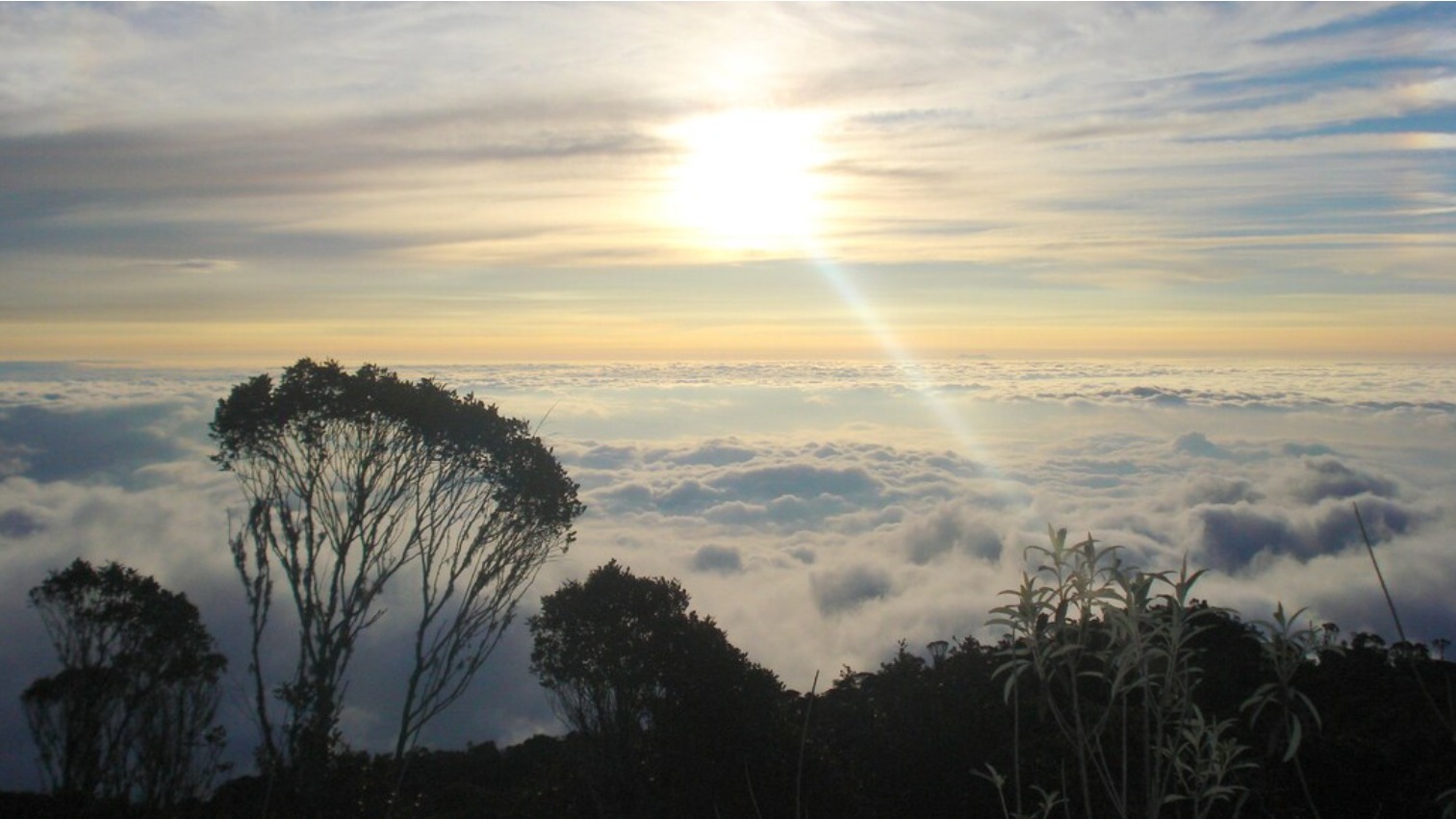 Vista desde los Farallones de Cali, Colombia